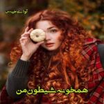 دانلود رمان همخونه شیطون من pdf از دینا