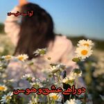 دانلود رمان دوراهی عشق و هوس pdf از آریانا72 دانلود رمان دوراهی عشق و هوس pdf از آریانا72
