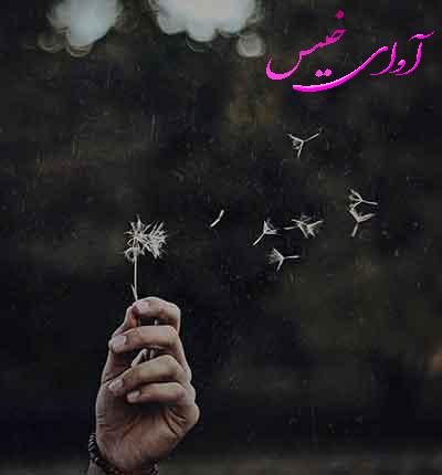 دانلود رمان در حصار خاموشی pdf با لینک مستقیم دانلود رمان در حصار خاموشی pdf با لینک مستقیم