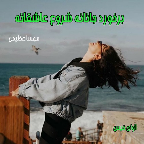 دانلود رمان برخورد جانانه شروع عاشقانه pdf از مهسا عظیمی