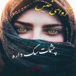 دانلود رمان چشمات سگ داره pdf از مسیحه زادخو با لینک مستقیم دانلود رمان چشمات سگ داره pdf از مسیحه زادخو با لینک مستقیم