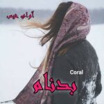 دانلود رمان بدنام pdf از Coral دانلود رمان بدنام pdf از Coral
