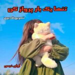 دانلود رمان تنها یک بار پرواز کن pdf از نسرین قدیری