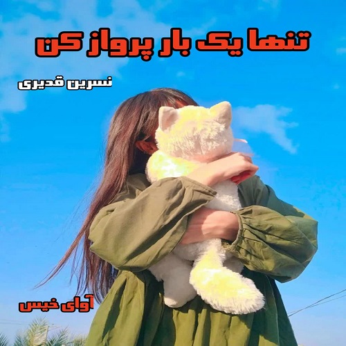 دانلود رمان تنها یک بار پرواز کن pdf از نسرین قدیری
