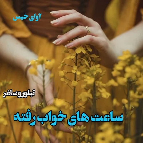 دانلود رمان ساعت های خواب رفته pdf از تبلور و ساغر 