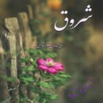 دانلود رمان شروق pdf از نیلوفر قائمی فر با لینک مستقیم دانلود رمان شروق pdf از نیلوفر قائمی فر با لینک مستقیم