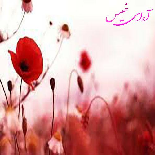 دانلود رمان دگر شقایق نیست زندگی نکن pdf از zed.a لینک مستقیم