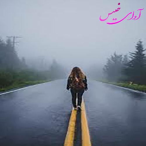 دانلود رمان دختری در کوچه پس کوچه های ونک pdf از سحر عزیزخوار با لینک مستقیم