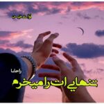 دانلود رمان تنهایی ات را میخرم pdf از راحانا دانلود رمان تنهایی ات را میخرم pdf از راحانا