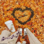 دانلود رمان فصل های زرد انتظار pdf از زهرا متین با لینک مستقیم