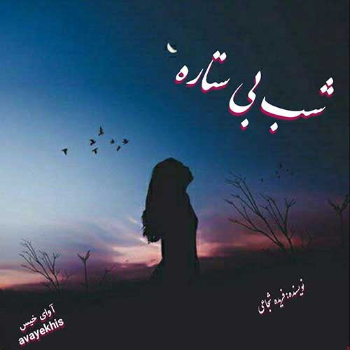 دانلود رمان شب بی ستاره pdf از فریده شجاعی با لینک مستقیم دانلود رمان شب بی ستاره pdf از فریده شجاعی با لینک مستقیم