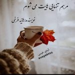 دانلود رمان مرهم تنهایی هایت می شوم pdf از هانیه فرخی لینک مستقیم دانلود رمان مرهم تنهایی هایت می شوم pdf از هانیه فرخی لینک مستقیم