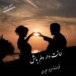 دانلود رمان امانت دار دلم باش pdf از مریم مؤیدی دانلود رمان امانت دار دلم باش pdf از مریم مؤیدی