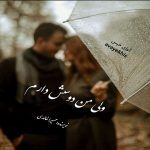 دانلود رمان ولی من دوسش دارم pdf از حمیرا خالدی با لینک مستقیم