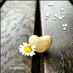 دانلود رمان پناه تو pdf از کمند_مشکات با لینک مستقیم دانلود رمان پناه تو pdf از کمند_مشکات با لینک مستقیم