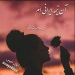 دانلود رمان آن نیمه ایرانی ام pdf از صدیقه افشار دانلود رمان آن نیمه ایرانی ام pdf از صدیقه افشار