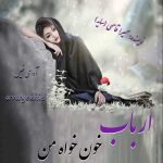 دانلود رمان ارباب خون خواه من pdf