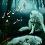 دانلود رمان گرگ پشمالوی من pdf از آنا سهرابی با لینک مستقیم دانلود رمان گرگ پشمالوی من pdf از آنا سهرابی با لینک مستقیم