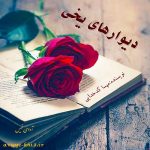 دانلود رمان دیوارهای یخی pdf از مهسا کدخدایی با لینک مستقیم