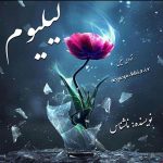 دانلود رمان لیلیوم pdf از ناشناس با لینک مستقیم دانلود رمان لیلیوم pdf از ناشناس با لینک مستقیم