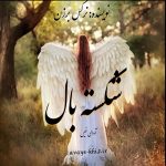 دانلود رمان شکسته بال pdf از نرگس برزن با لینک مستقیم دانلود رمان شکسته بال pdf از نرگس برزن با لینک مستقیم