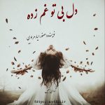 دانلود رمان دل بی تو غم زده pdf از صفورا یارمرادی با لینک مستقیم دانلود رمان دل بی تو غم زده pdf از صفورا یارمرادی با لینک مستقیم