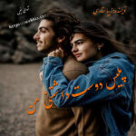 دانلود رمان پلیس دوست داشتنی من pdf از زیبا ستاری با لینک مستقیم