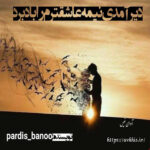 دانلود رمان دیر آمدی نیمه عاشقترم را باد برد pdf از pardis_banoo با لینک مستقیم دانلود رمان دیر آمدی نیمه عاشقترم را باد برد pdf از pardis_banoo با لینک مستقیم