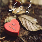 دانلود رمان قلبی از جنس سنگ pdf از زهرا میم با لینک مستقیم دانلود رمان قلبی از جنس سنگ pdf از زهرا میم با لینک مستقیم