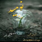 دانلود رمان نومید pdf از کالین هوور با لینک مستقیم