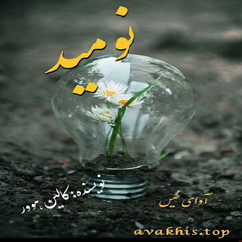 دانلود رمان نومید pdf از کالین هوور با لینک مستقیم دانلود رمان نومید pdf از کالین هوور با لینک مستقیم