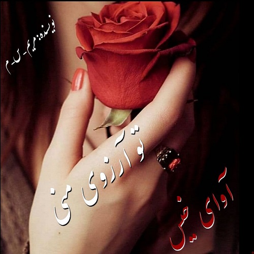 دانلود رمان تو آرزوی منی pdf از مریم_س_م با لینک مستقیم