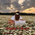 دانلود رمان من زاده پاییزم pdf از صفورا اندیشمند با لینک مستقیم