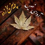 دانلود رمان پاییز یخ زده pdf از کوثر شاهینی فر