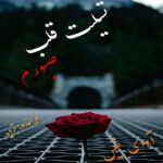 دانلود رمان تسلیت قلب صبورم pdf از تردید دانلود رمان تسلیت قلب صبورم pdf از تردید