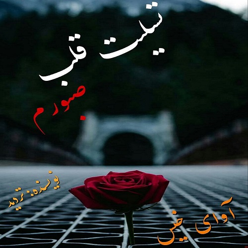 دانلود رمان تسلیت قلب صبورم pdf از تردید