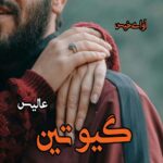 دانلود رمان گیوتین pdf از عالیس دانلود رمان گیوتین pdf از عالیس