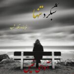 دانلود رمان شبگرد تنها pdf از رهگذر شب دانلود رمان شبگرد تنها pdf از رهگذر شب