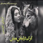 دانلود رمان گرگی در لباس میش pdf از یگانه محمدلو دانلود رمان گرگی در لباس میش pdf از یگانه محمدلو