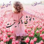 دانلود رمان دلخوشی ها کم نیست pdf از صدیقه احمدی دانلود رمان دلخوشی ها کم نیست pdf از صدیقه احمدی