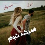 دانلود رمان همیشه شوهر pdf از داستایوفسکی