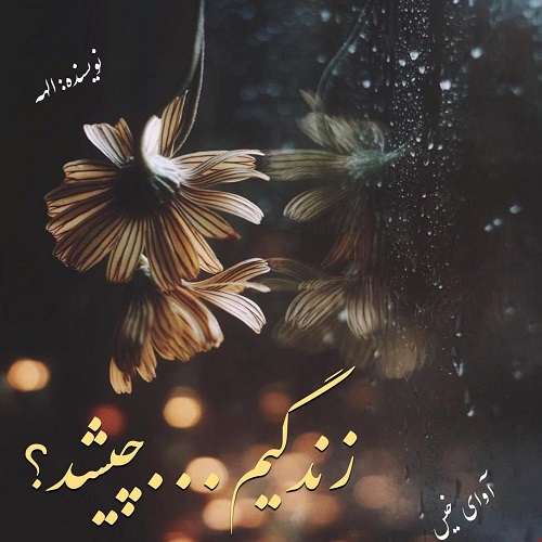 دانلود رمان زندگیم…چیشد؟ pdf از الهه دانلود رمان زندگیم…چیشد؟ pdf از الهه