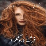 دانلود رمان فرشته درونگرا (جلد دوم رمان حنا) pdf از زهرا_م
