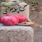 دانلود رمان دانه سرخ پاییزی pdf از هستی کاف