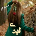 دانلود رمان لیدی pdf از کبری حقگو دانلود رمان لیدی pdf از کبری حقگو