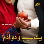 دانلود رمان یک سیب و دو آدم pdf از مهدیه سیف الهی دانلود رمان یک سیب و دو آدم pdf از مهدیه سیف الهی