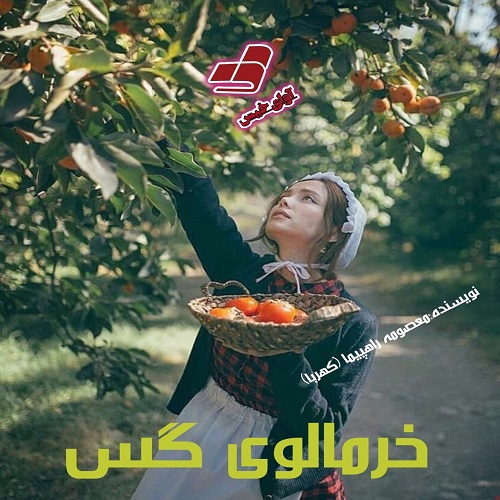 دانلود رمان خرمالوی گس pdf از معصومه راهپیما (کهربا) دانلود رمان خرمالوی گس pdf از معصومه راهپیما (کهربا)