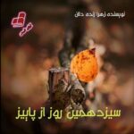 دانلود رمان سیزدهمین روز از پاییز pdf از زهرا زنده دلان دانلود رمان سیزدهمین روز از پاییز pdf از زهرا زنده دلان