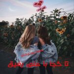 دانلود رمان تا کجا با منی رفیق pdf از فاطمه پور وکیلی