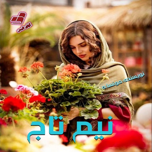 دانلود رمان نیم تاج pdf از مونسا.ه دانلود رمان نیم تاج pdf از مونسا.ه